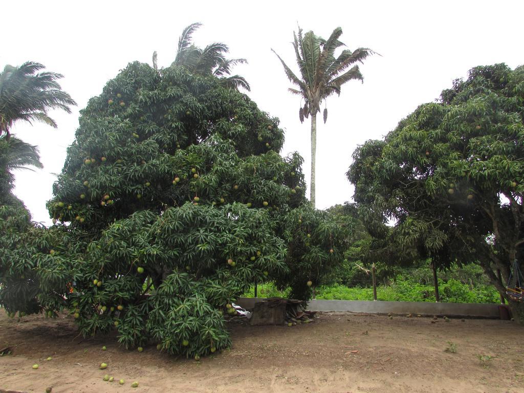 Pousada Sitio Costa Verde Ubajara Eksteriør bilde